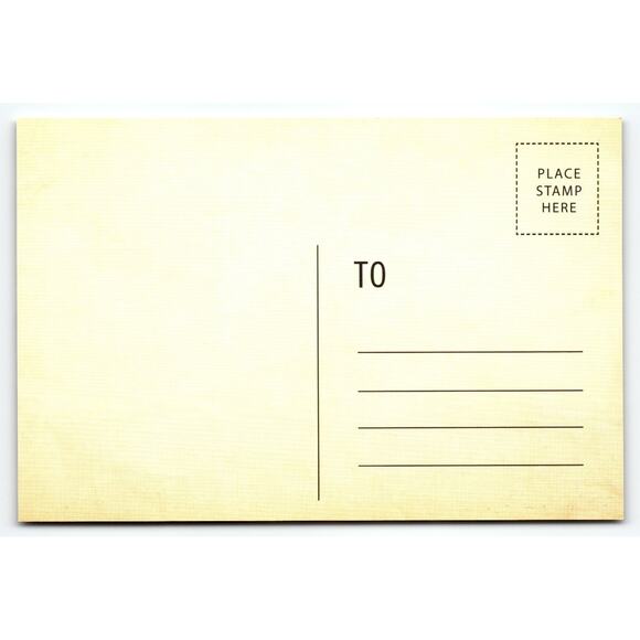 Vintage Halloween Hawthorne Gardens Gothic Skull & Butterflies Postcard - Picture 2 of 2